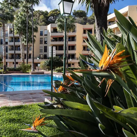 Apartment En Primera Linea De Playa Con Piscina